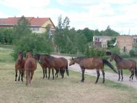 Nuotrauka