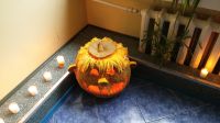 Nuotrauka