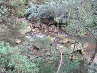 Nuotrauka