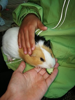 Nuotrauka