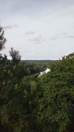 Nuotrauka