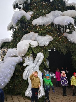 Nuotrauka