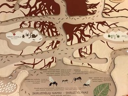 Nuotrauka