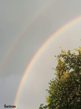 Nuotrauka
