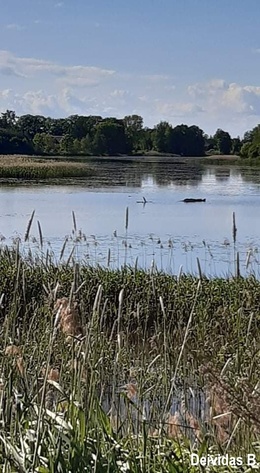 Nuotrauka