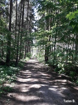 Nuotrauka