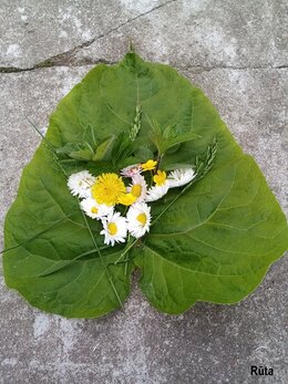 Nuotrauka
