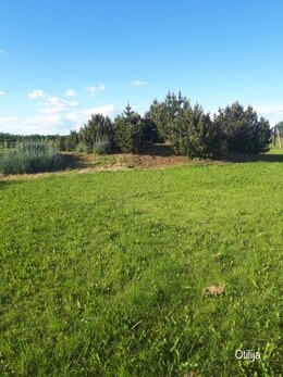 Nuotrauka