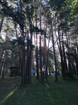 Nuotrauka