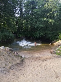 Nuotrauka