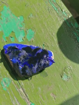 Nuotrauka