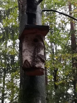 Nuotrauka