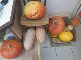 Nuotrauka