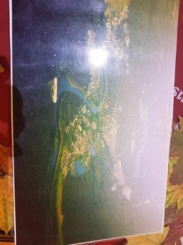 Nuotrauka