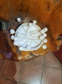 Nuotrauka