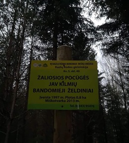Nuotrauka