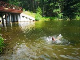 Nuotrauka