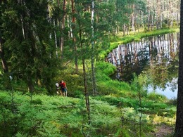 Nuotrauka