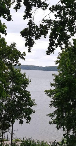 Nuotrauka