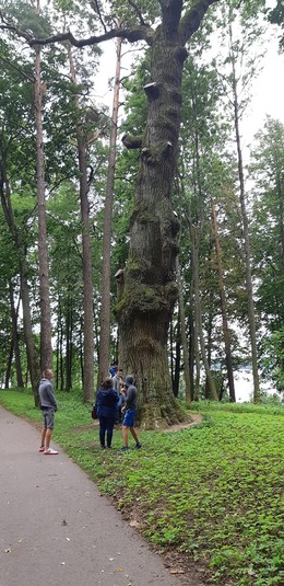 Nuotrauka