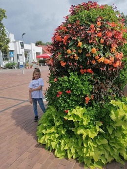 Nuotrauka