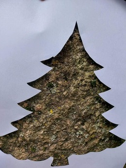 Nuotrauka