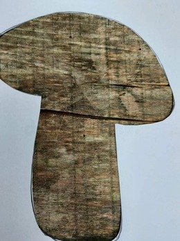 Nuotrauka