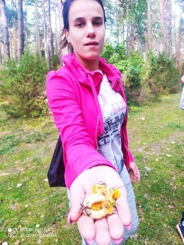 Nuotrauka