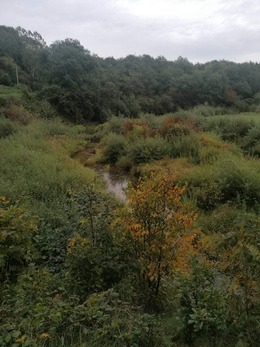 Nuotrauka