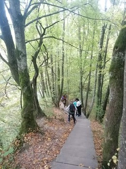 Nuotrauka
