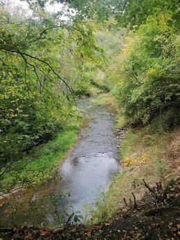 Nuotrauka