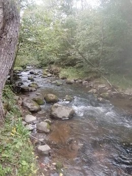 Nuotrauka
