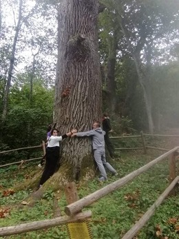 Nuotrauka