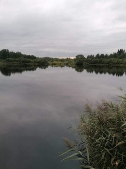Nuotrauka