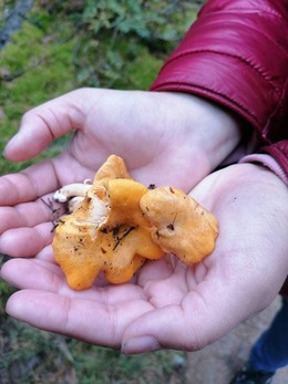 Nuotrauka