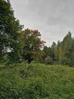 Nuotrauka