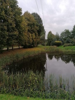 Nuotrauka