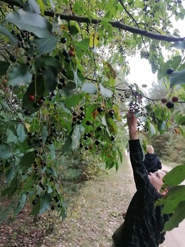 Nuotrauka