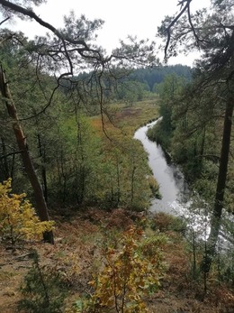 Nuotrauka
