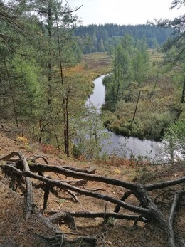 Nuotrauka