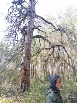 Nuotrauka