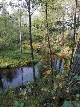 Nuotrauka