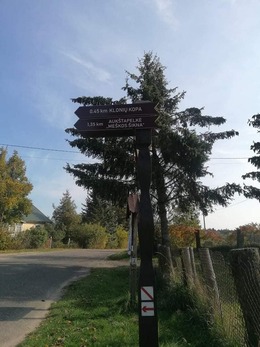 Nuotrauka