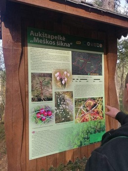 Nuotrauka