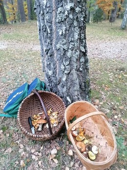 Nuotrauka