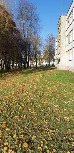 Nuotrauka