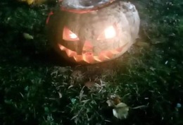 Nuotrauka