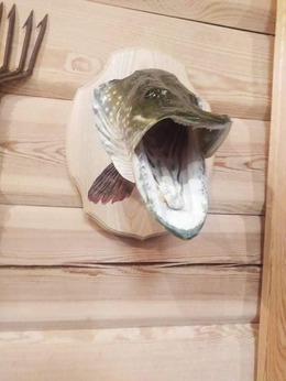 Nuotrauka