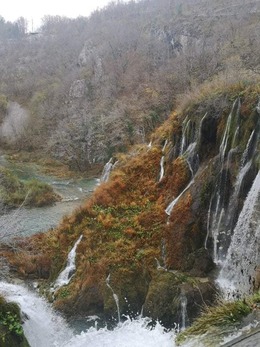 Nuotrauka