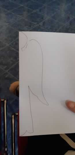 Nuotrauka